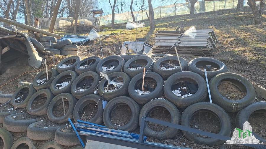 Teren Unic în Tarcau - Oportunitate pentru afacere cu potential turistic! - 5