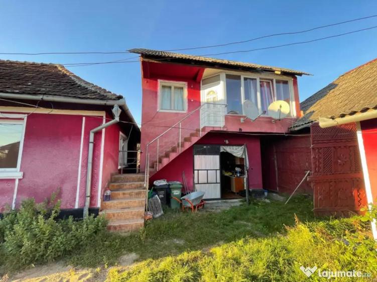 Investitie pentru liniste si oaza de verdeata - 15