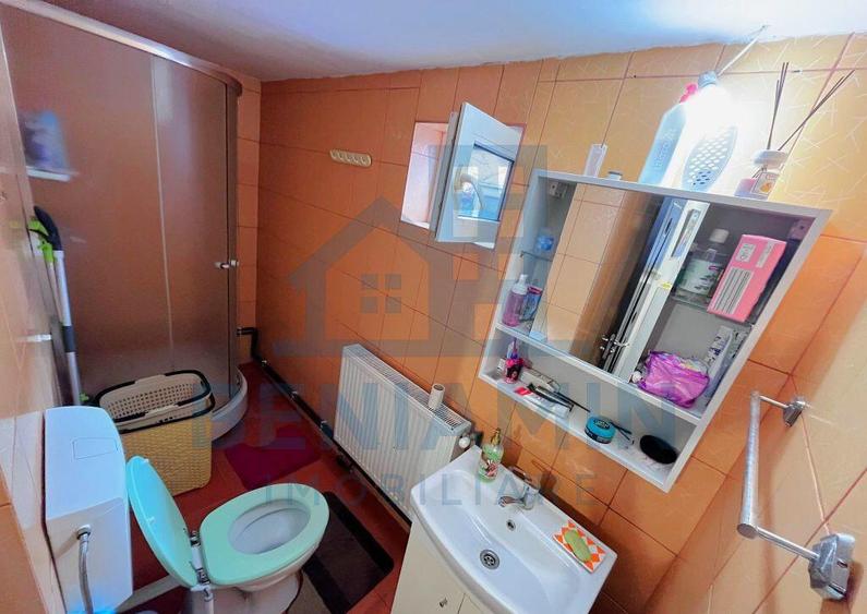 Casa mobilata utilata Brestei Promenada renovata 184mp teren - 9