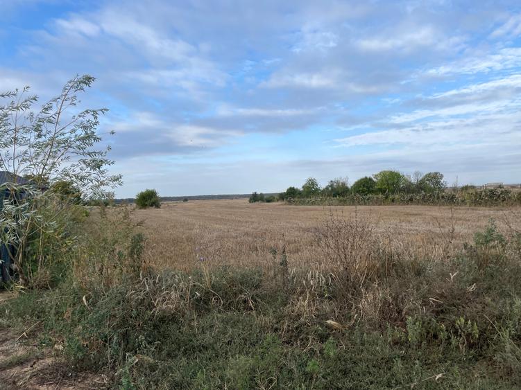 Teren extravilan/Utilitati - 3