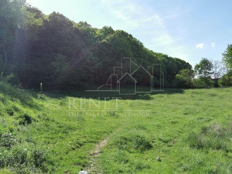 Oportunitate de Investiție - Teren de Basm in Bascov. DIRECT PROPRIETAR. - 7