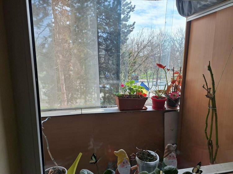 Sat Vacanta ,3 camere decomandat, Bloc stradal, 65mp, Centrala termica - 4