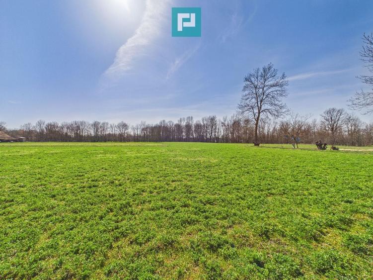 Casă cu teren de 6000 mp în Duboz, Timiș - 11