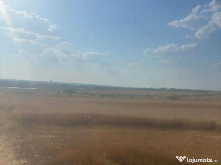 Teren intravilan, 500mp, zona Malu Mare, comision 0% - 1