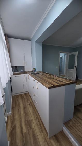 Apartament 3 camere Podu Ros, parter, renovat complet - 4