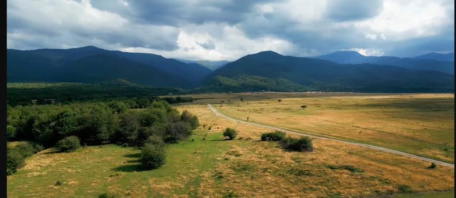 Vand urgent teren 4500 m2 , La munte , aproape de parau - 1
