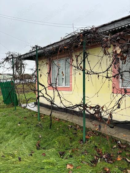 Casa batraneasca cu anexe si teren in Viisoara, intravilan