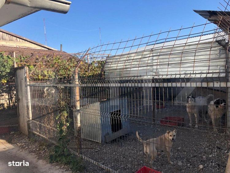 De vanzare Ferma & Abator - 3