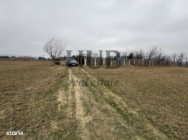 Teren in Magura | Zona Farbe | lot casa | de vanzare - 1