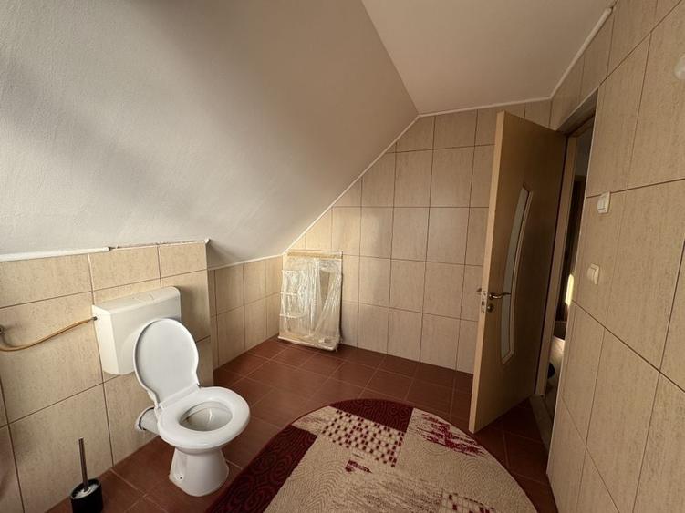 Individuala P+M Becicherecu Mic,4 Camere,Piscina exterioara,Teren Generos - 25