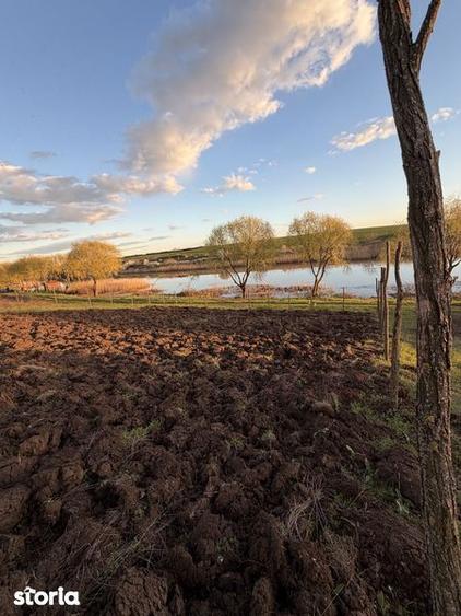 Teren de vanzare Walter Maracineanu Comuna Iepuresti judet Giurgiu - 7