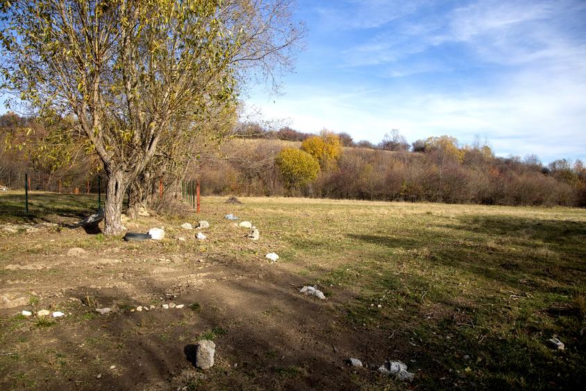 Teren intravilan 2500mp Tohanita Zarnesti- ideal casa de vacanta - 7