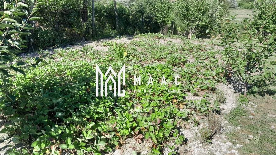 Casa individuala | 4 camere | Teren 2000 MP | Seica Mare - 5