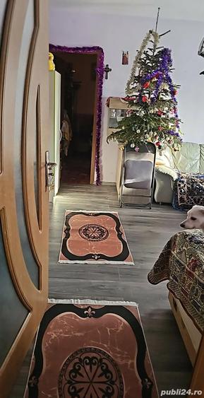 CONFORT 1 DiN CARAMIDA.Cantemir Oradea.Apart.2 camere Oradea,Cantemir,parter inalt,52 mp utili - 4