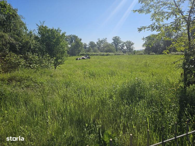 SC vinde teren destinatie industriala - 1