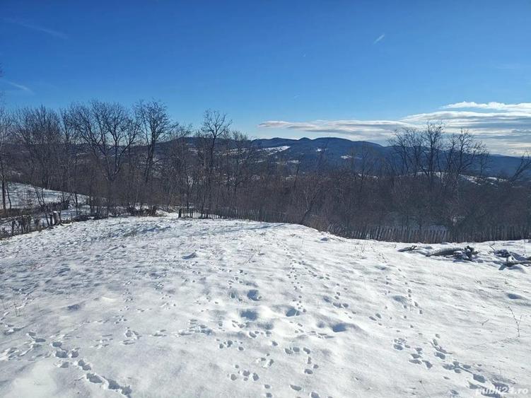 Teren + Casa Batraneasca Sat Serbanesti Salatrucel - 4