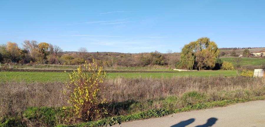 EXCLUSIVITATE -Teren Simnicul de Sus - 1000mp Intravilan - 1