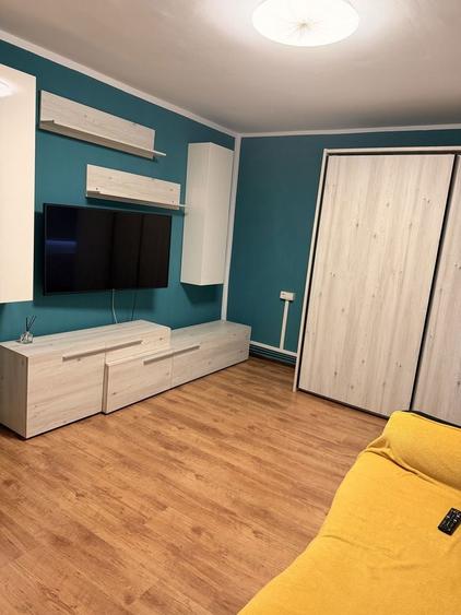 Apartament cu 1 camera in zona Sagului - 1