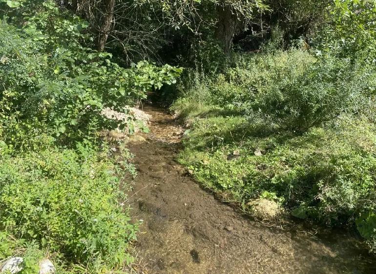 casa de vanzare+teren - 3