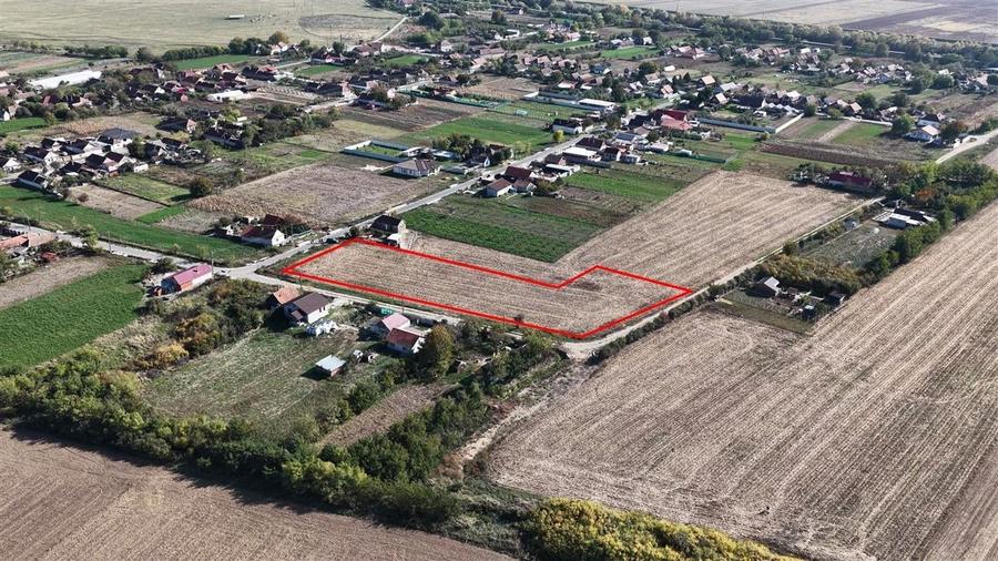 RECO Teren Cheresig 20 km de Oradea - 2