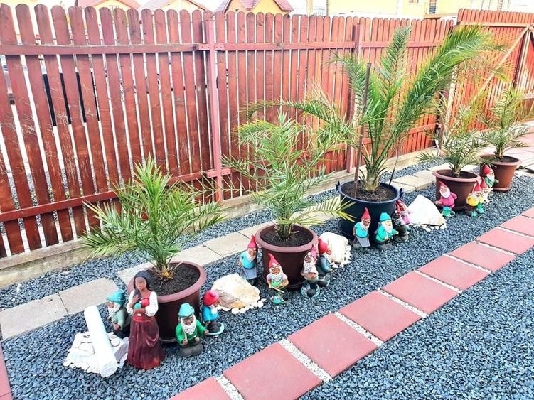 Casa individuala - Dumbravita - 14