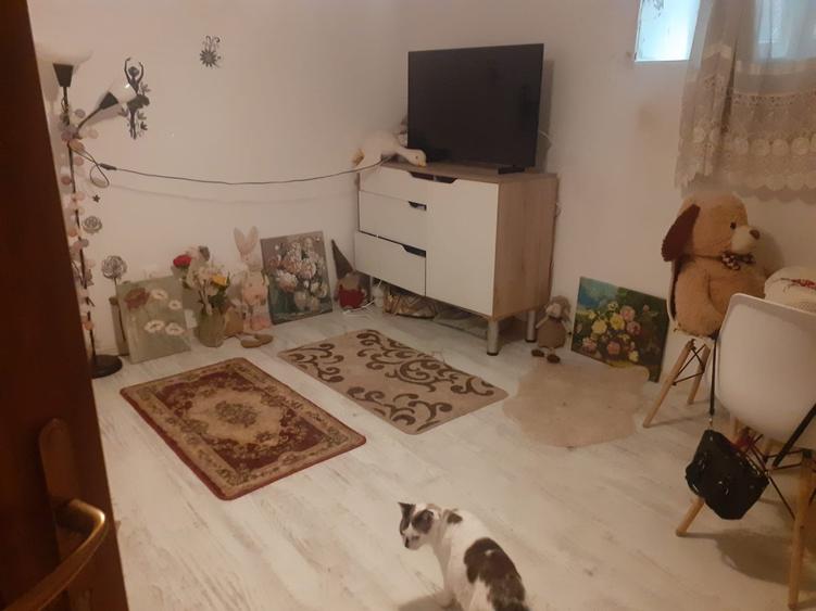 Cismigiu, Vila, garsoniera 19 mp - 4