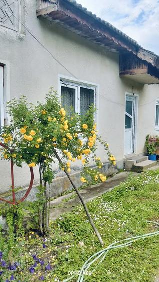 Case de vanzare la sat - 1