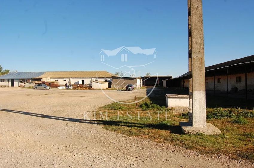 De vanzare ferma N.Balcescu - 3