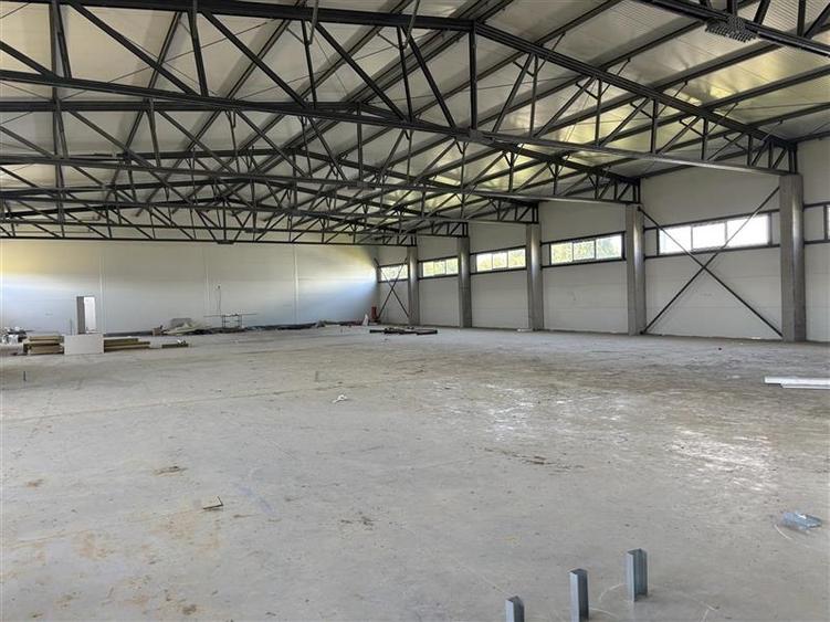 Inchiriere depozit/hala/spatiu industrial Chitila - Oxigenului, ILFOV - 8