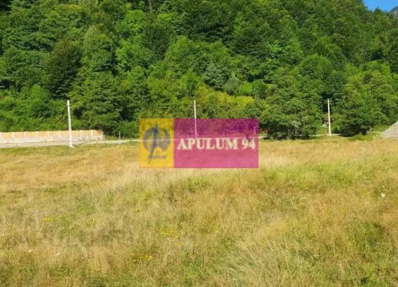 Teren Jude?ul Valcea - Brezoi, Valea lui Stan - 3