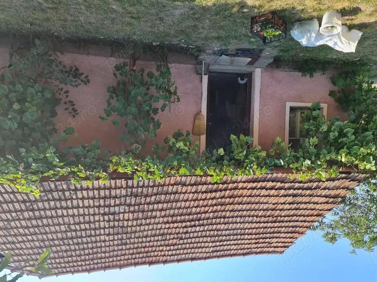 Vand casa, curte si gradina cu magazie - 3