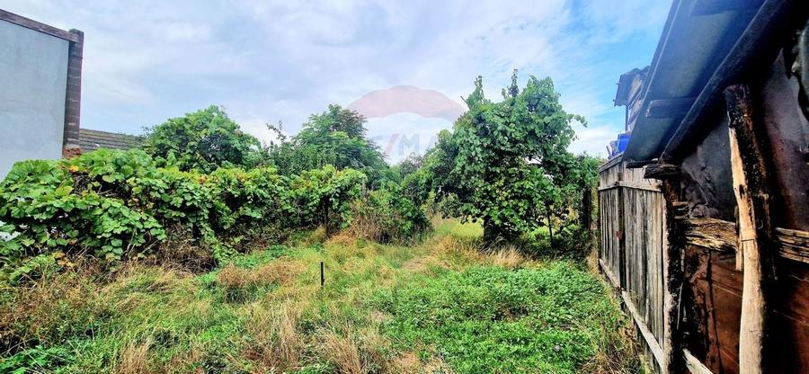 Casa cu teren de 750 mp, Chisineu Cris - 16