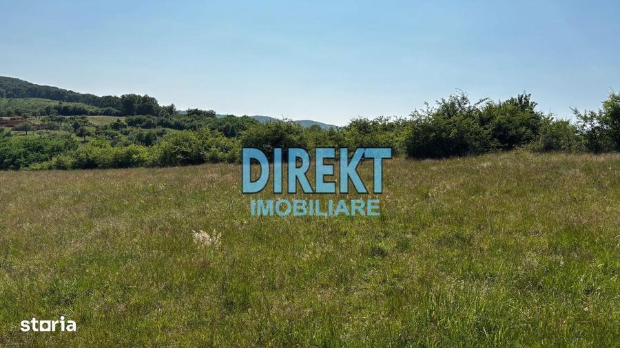 Teren intravilan strada Trifoiului - 3