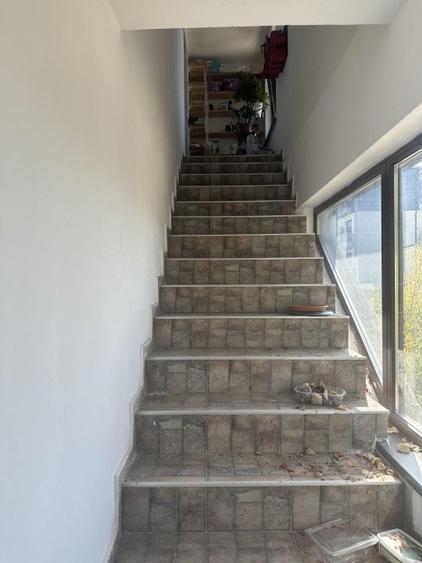 Imobil langa Cora, sos. Alexandriei, P+1+ M, 345mp, anexe 240mp, curte 2450mp - 17