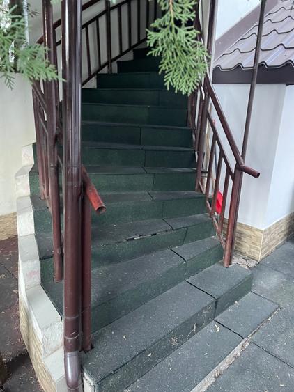 Parc Carol Vila 9 Camere - 2