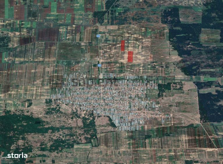 Sapient | Teren agricol _ loc. Desa, jud. Dolj - 1