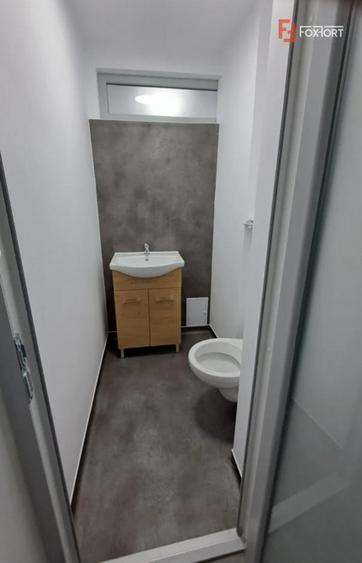 Spatiu Sad de inchiriat in apropiere de Iulius Mall - 10