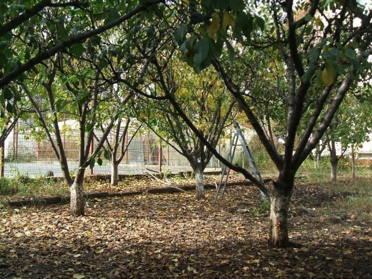 Vand Vila "Vip 1" - Ds.+P.+1Et.+M. - 14 cam. mari si două terenuri - 9