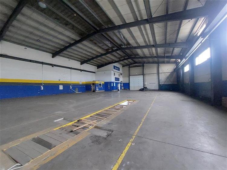 3 hale de inchiriat in Micalaca - 12