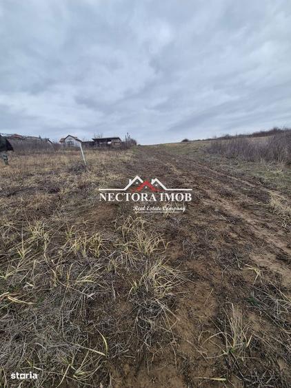 NECTORA IMOB-Teren Intravilan Zona Paleu, 589 mp, Vedere LAC,Utilitati - 3