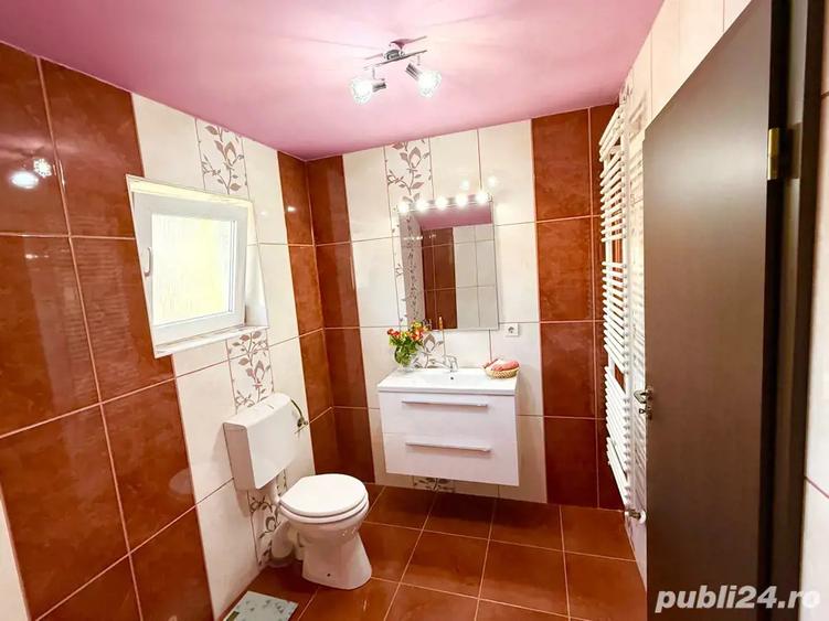 Casa individuala 3 dormitoare Giroc-vatra satului - 9