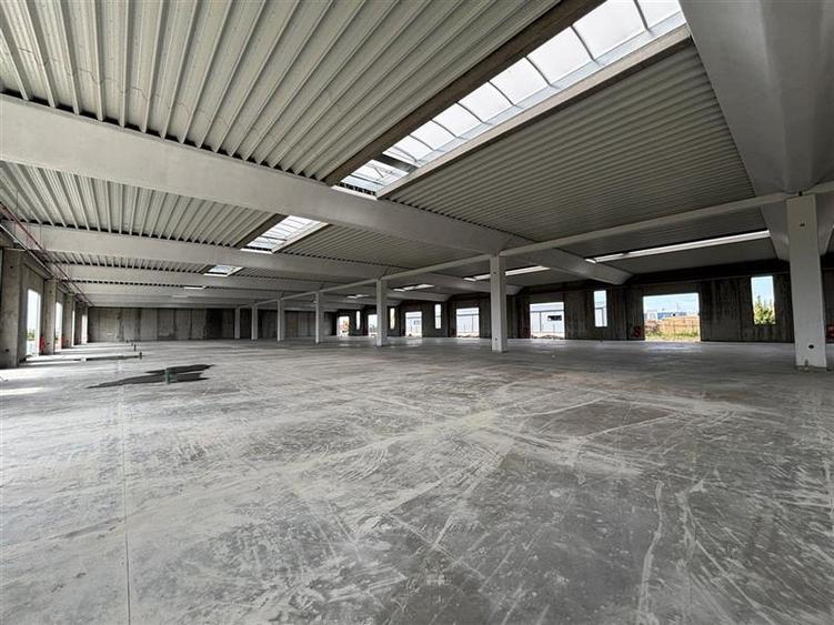 Vanzare depozit/spatiu industrial/hala Chitila - Rudeni, ILFOV - 6