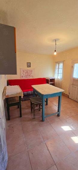 Vand casa la tara - 10