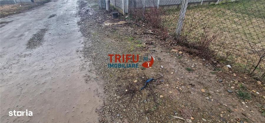 Teren Intravilan Construibil in Alba Iulia, Micesti - 3