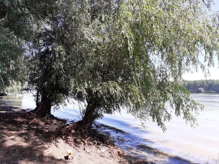 OCAZIE; teren MAHMUDIA 12euro/m.p. Suprafata 5000 m.p. Deschidere la Dunare 48m - 1