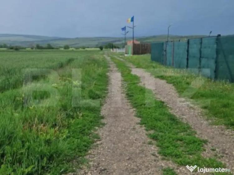 Teren pentru casa intravilan , 800 mp deschidere la drum Bod - 4