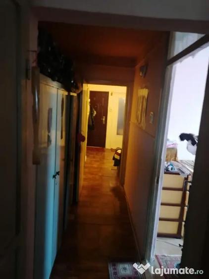 Apartament cu 3 camere decomandat în Broșteni