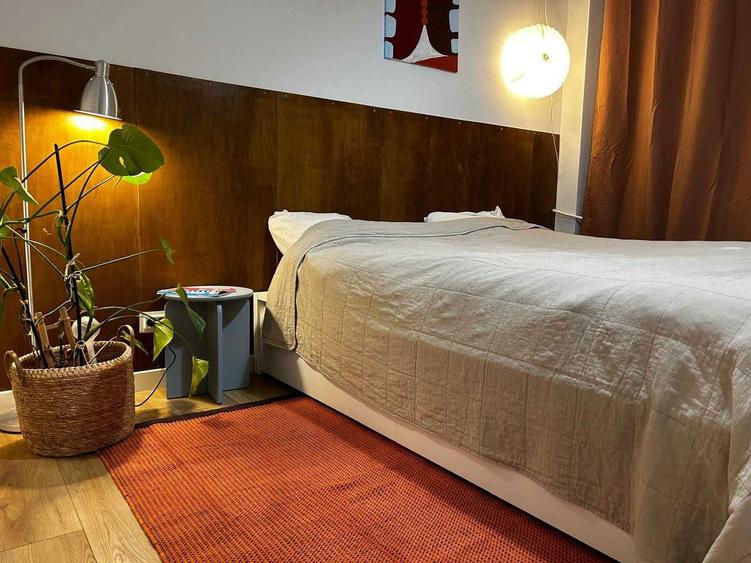 Apartament 2 camere de inchiriat zona Banu Manta Kiseleff - 6