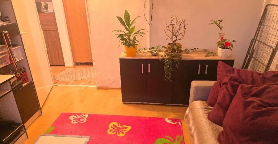 Vand apartament 2 camere in Deva, zona Micro 15 (Lidl), etaj 2, izolat - 5