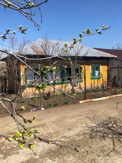 Casa+teren de vanzare - 3